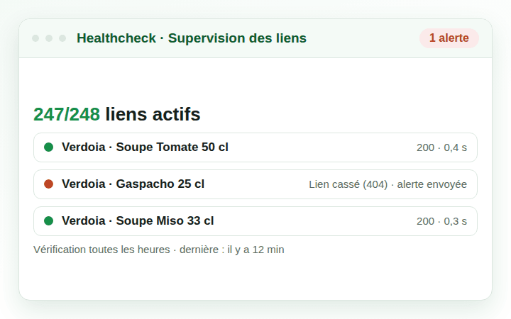 Vignette healthcheck : 247 liens actifs sur 248, un lien cassé détecté et une alerte envoyée