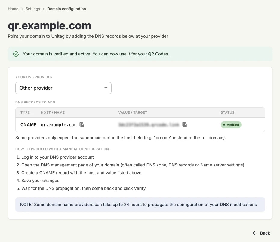 The domain configuration page: the CNAME record to add, with its host, target and Verified status, above the manual configuration instructions The domain configuration page: the CNAME record to add, with its host, target and Verified status, above the manual configuration instructions